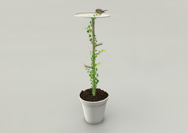 Bird Pot